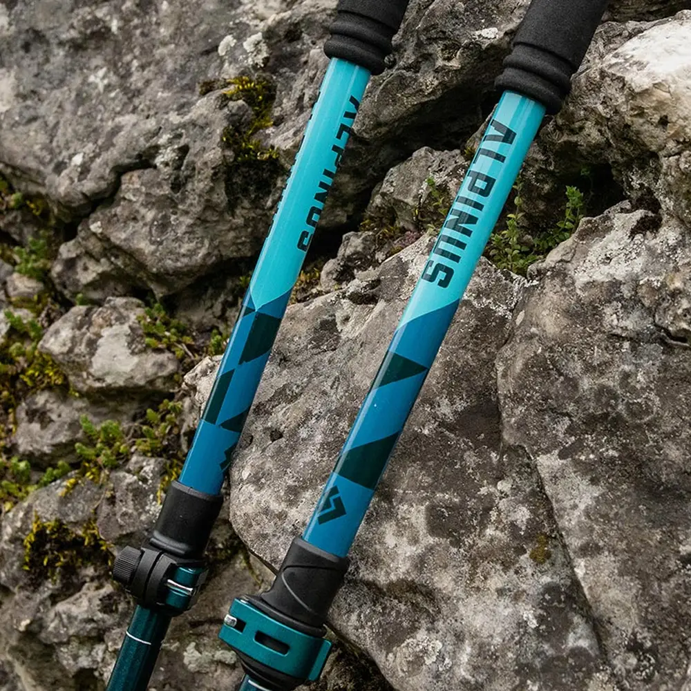 Kije do nordic walking Alpinus – sklep sportowy Noctus Białystok